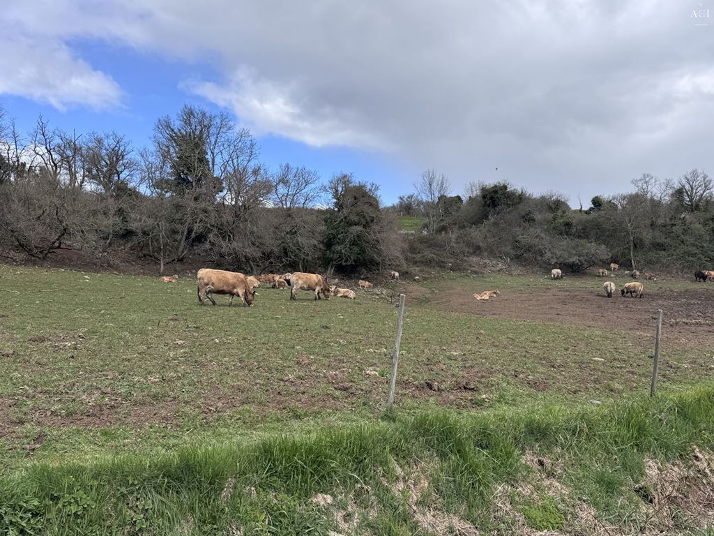 Maison de village SCEAUTRES (07400) Agence Centrale Immo' title= 'Maison de village SCEAUTRES (07400) Agence Centrale Immo